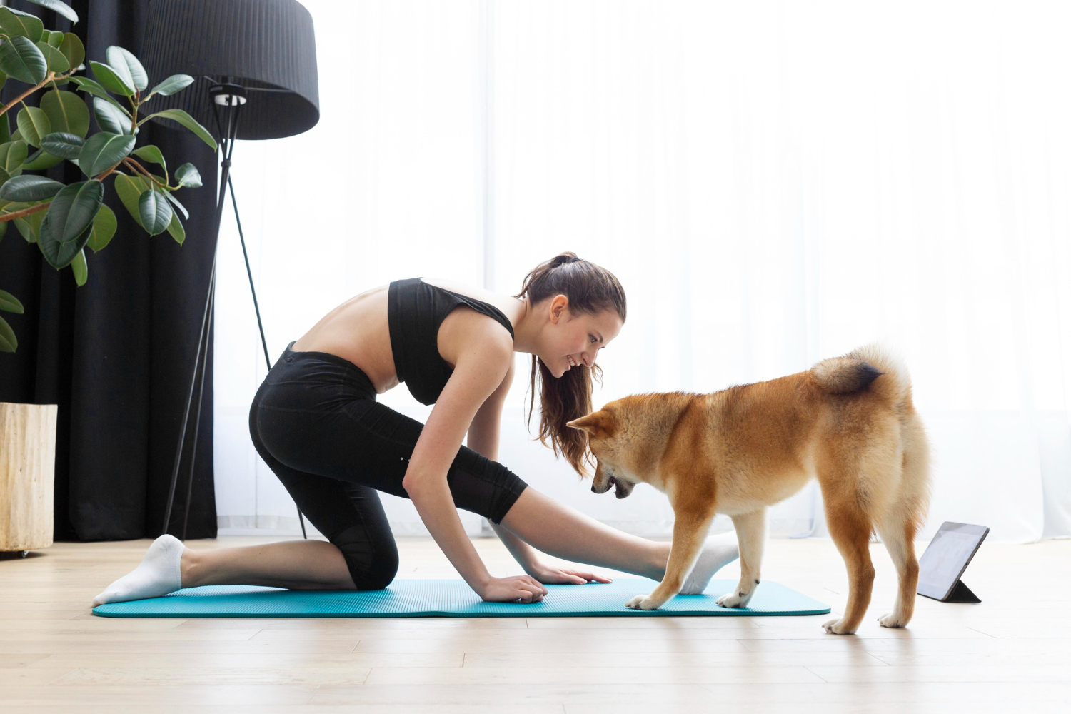 Cuatro beneficios de entrenar junto a tu perro