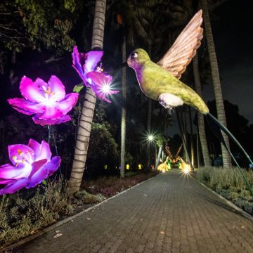 Los polinizadores serán protagonistas en la ruta de la navidad 2022 en el Jardín Botánico