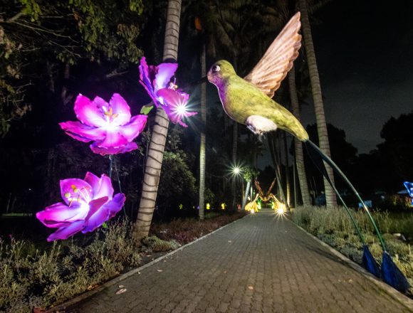 Los polinizadores serán protagonistas en la ruta de la navidad 2022 en el Jardín Botánico