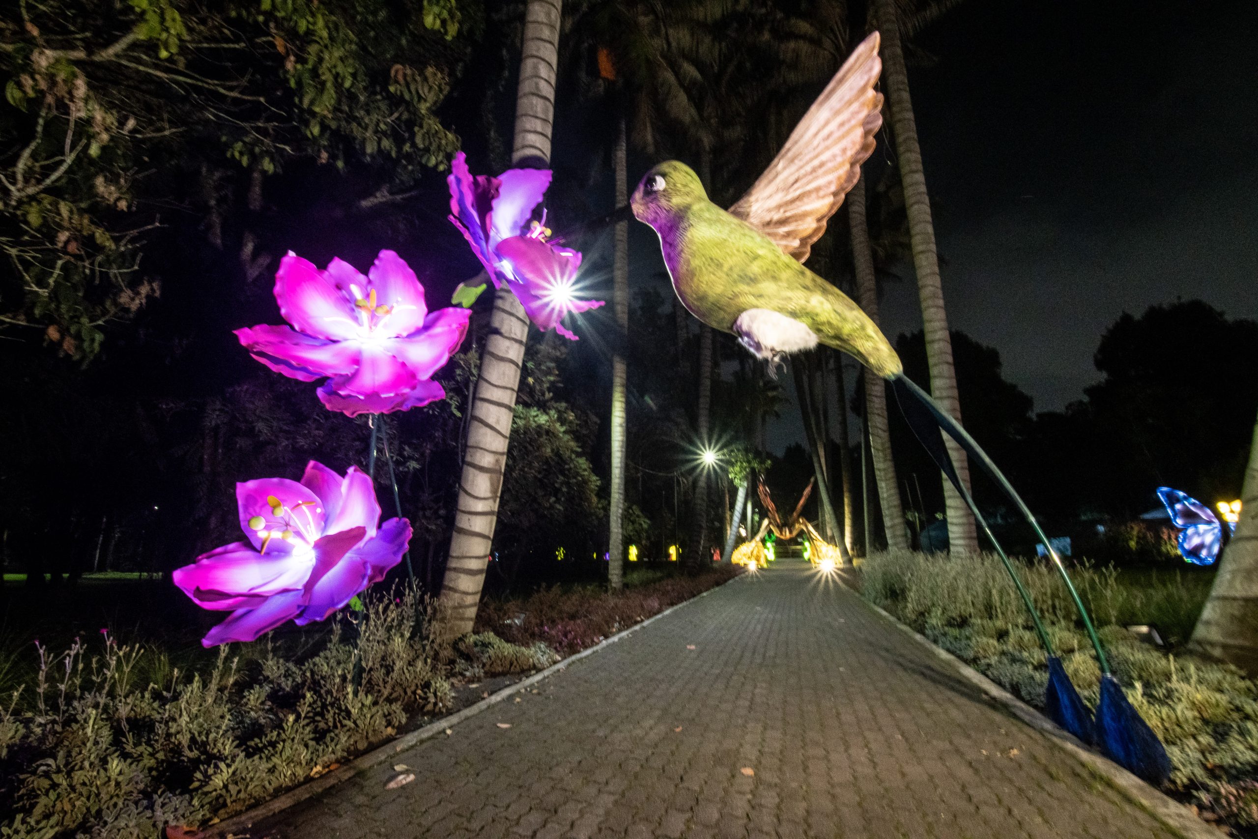 Los polinizadores serán protagonistas en la ruta de la navidad 2022 en el Jardín Botánico