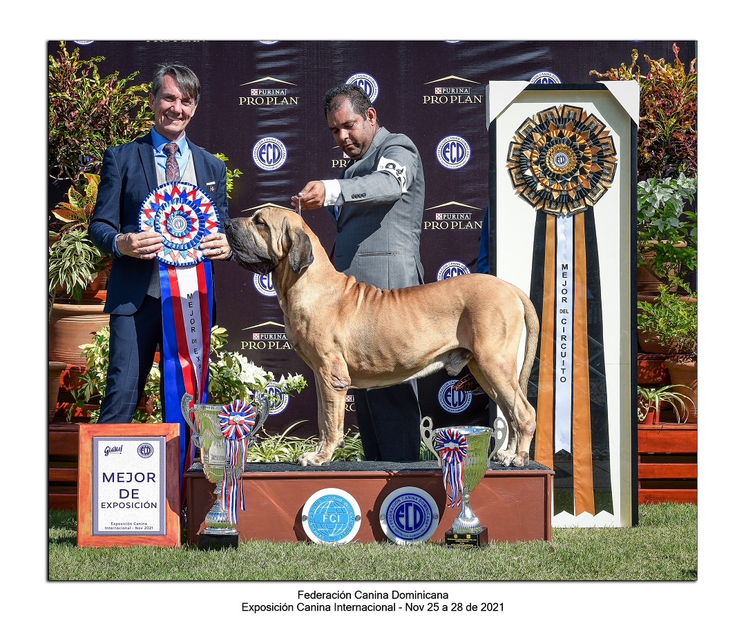 Segunda entrega de la Gran Copa PRO PLAN®, la mayor exposición canina en la región del Caribe