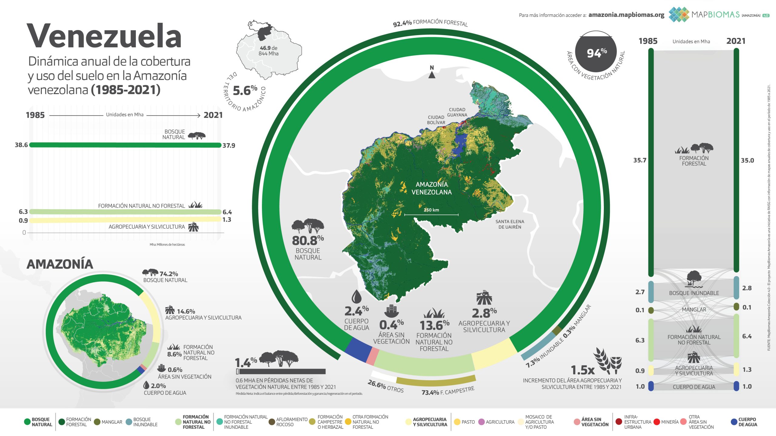 La Amazonía perdió 9,7% de su vegetación natural en 37 años