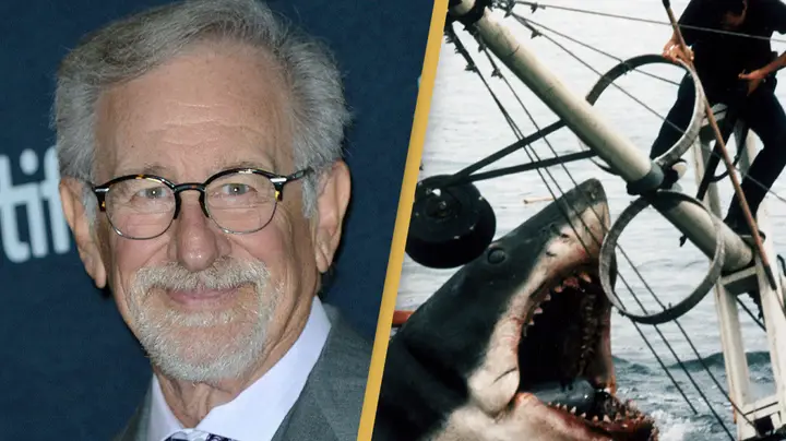 Steven Spielberg pide perdón a los tiburones