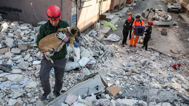 Rescate de animales también se activó en la tragedia de Turquía