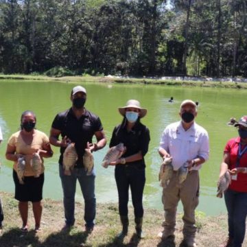 Los acuicultores de Coclé están siendo apoyados por ARAP y Cobre Panamá