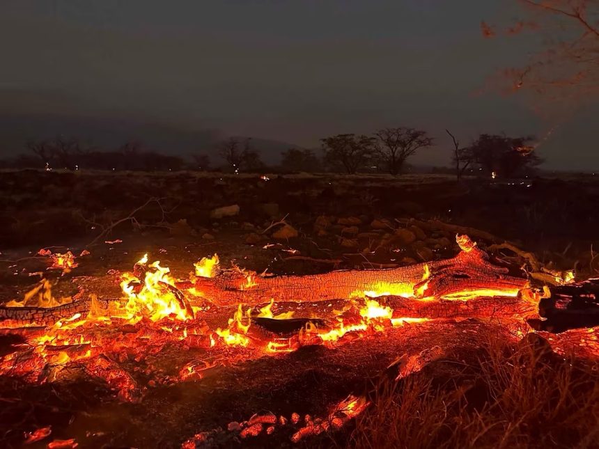 Hawaii devastado por el incendio