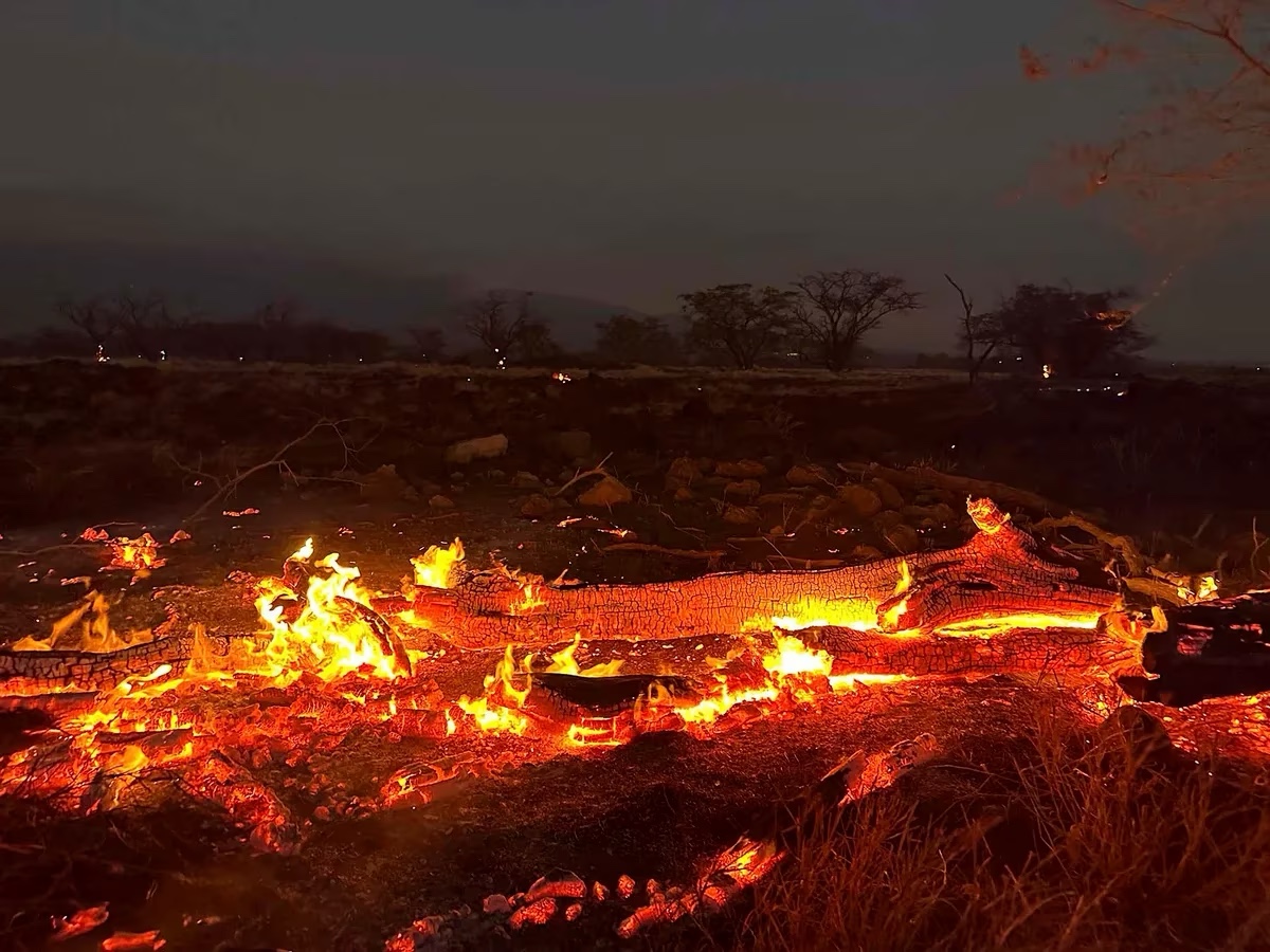 Hawaii devastado por el incendio