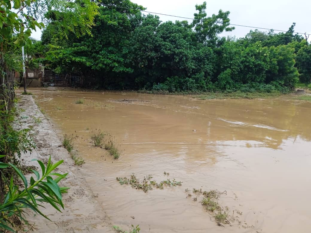 Fuertes lluvias provocaron el desbordamiento de dos ríos en Guárico