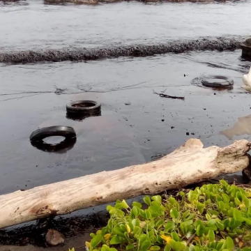 Desastre Ambiental en El Palito: Petróleo Afecta 70 km de Costa