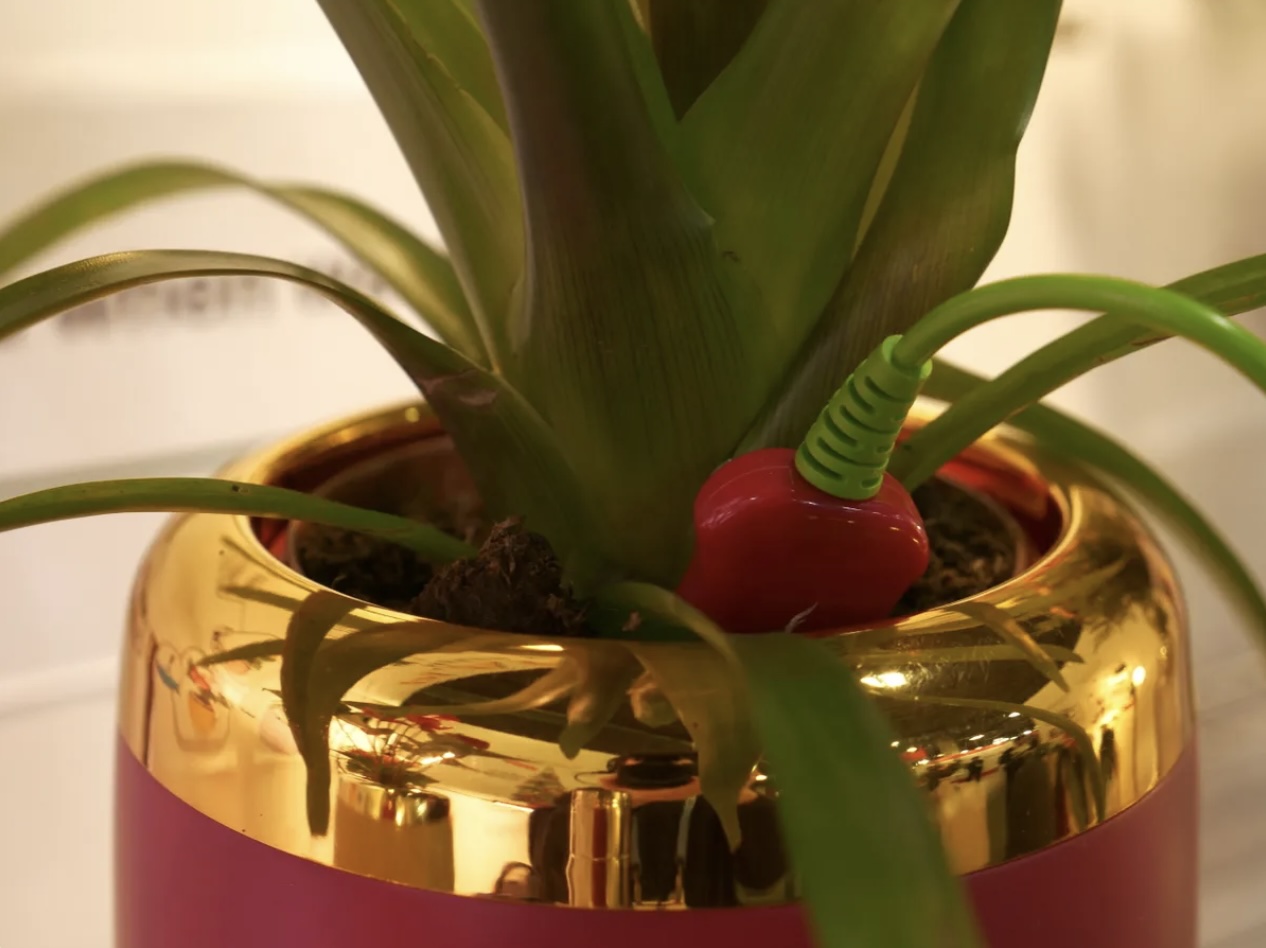 Descubre PlantPetz Smart Pot: La innovación que transforma tus plantas en mascotas animadas y bailarinas