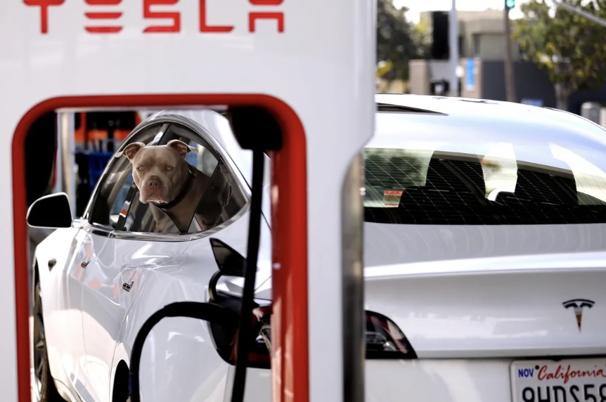 Despidos en Tesla afectan al equipo de Superchargers