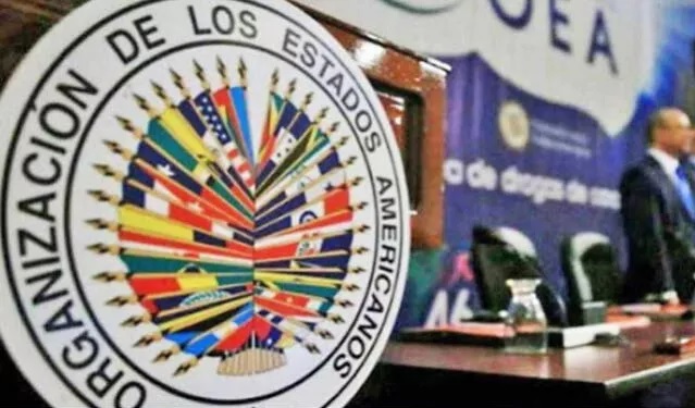 OEA condena por medio de un comunicado detención de adolescentes por causas políticas en Venezuela