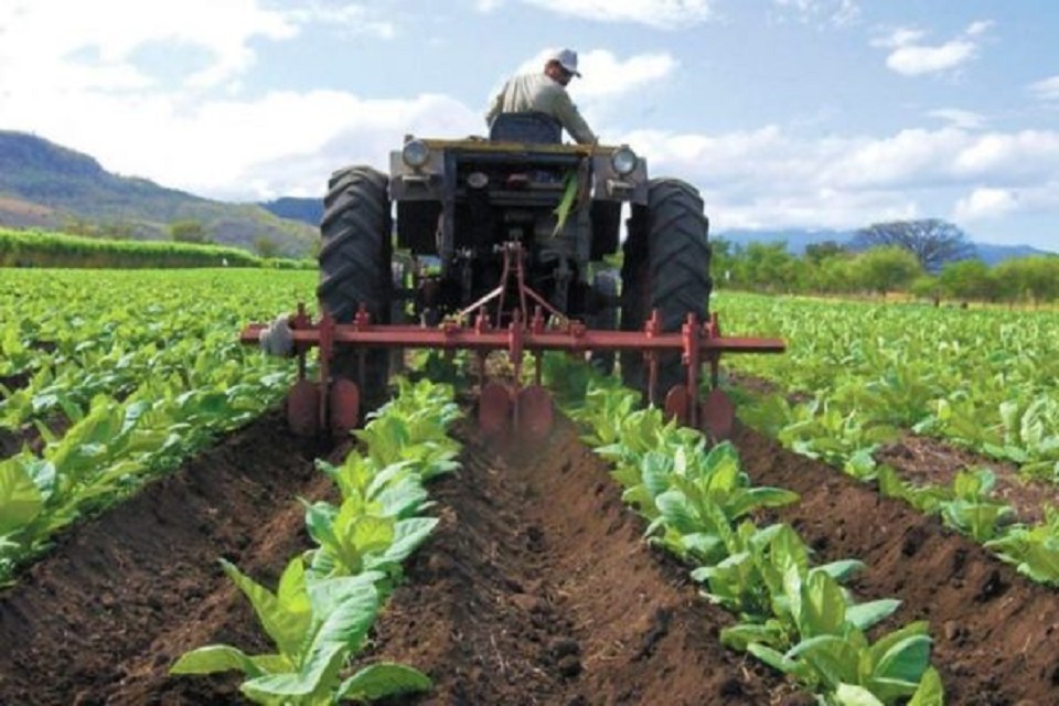 Fedegro: Sector agrario retrocedió cuatro décadas en cuanto a infraestructura