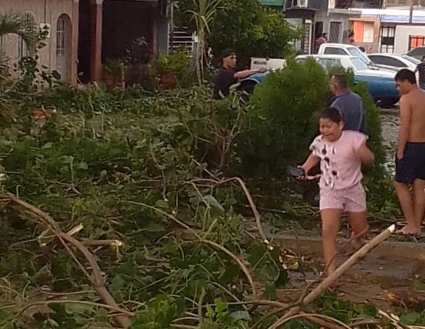 Lluvias dejan acorralados a vecinos de la Sucre, quienes aún espera por Emica para tala de árbol