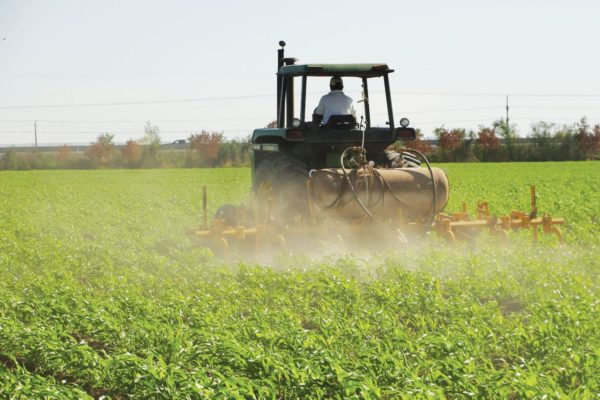 Fedeagro advierte que productores venezolanos trabajan a pérdida