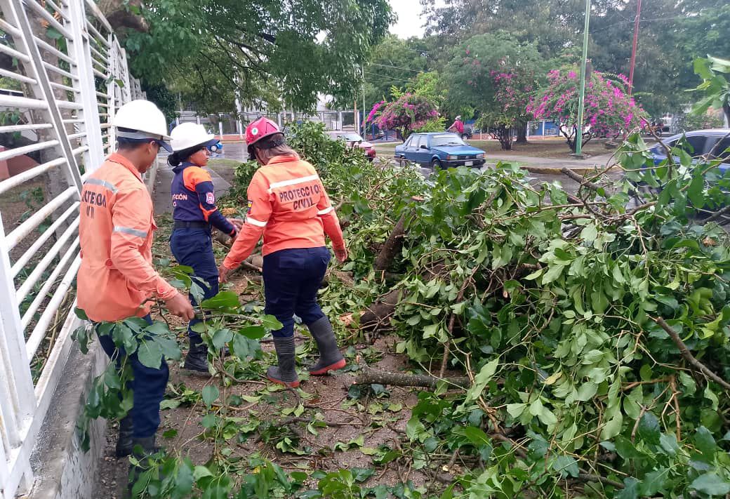 PC Lara: Fuerte temporal afecta varios sectores del estado y se mantiene en alerta